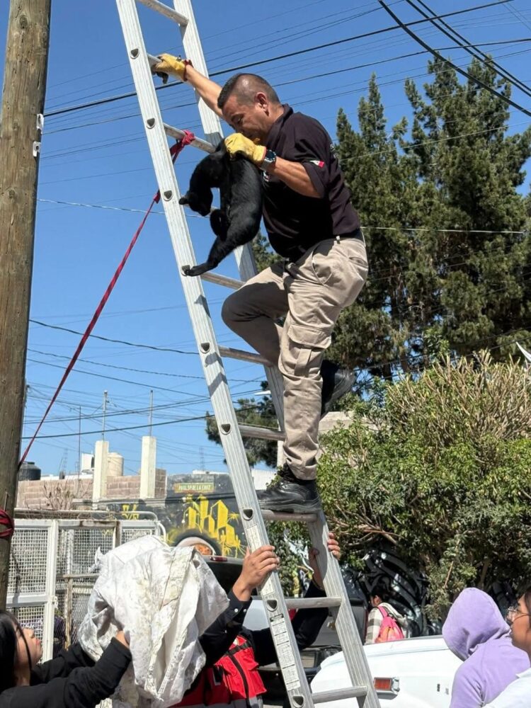 ALERTA SI VIAJAS EN AVIÓN HOY DESDE O HACIA EL AEROPUERTO DE LA CDMX, HABRÁ BLOQUEOS.