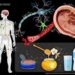 INVESTIGADORES DETECTAN MICROPLÁSTICOS EN LA SANGRE, PULMONES Y PLACENTA DE LOS SERES HUMANOS.