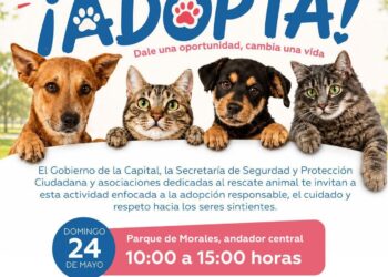 IMPULSAN JORNADA DE ADOPCIÓN RESPONSABLE EN FAVOR DEL BIENESTAR ANIMAL.