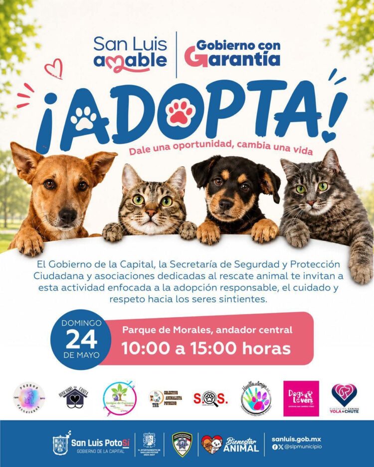 IMPULSAN JORNADA DE ADOPCIÓN RESPONSABLE EN FAVOR DEL BIENESTAR ANIMAL.
