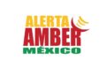 BUSCAN INTEGRAR LA ALERTA AMBER AL SISTEMA DE ALERTAS DE EMERGENCIA EN TELÉFONOS CELULARES