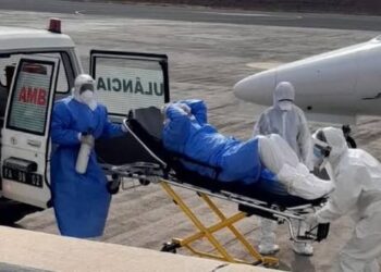 TEMOR EN CRUCERO TRAS DETECTARSE VIRUS QUE PODRÍA TRANSMITIRSE ENTRE PERSONAS.