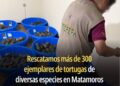 AVANZA PROTECCIÓN ANIMAL CON MÁS ADOPCIONES, VACUNAS Y ATENCIÓN A DENUNCIAS