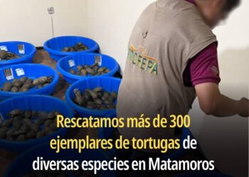 AVANZA PROTECCIÓN ANIMAL CON MÁS ADOPCIONES, VACUNAS Y ATENCIÓN A DENUNCIAS