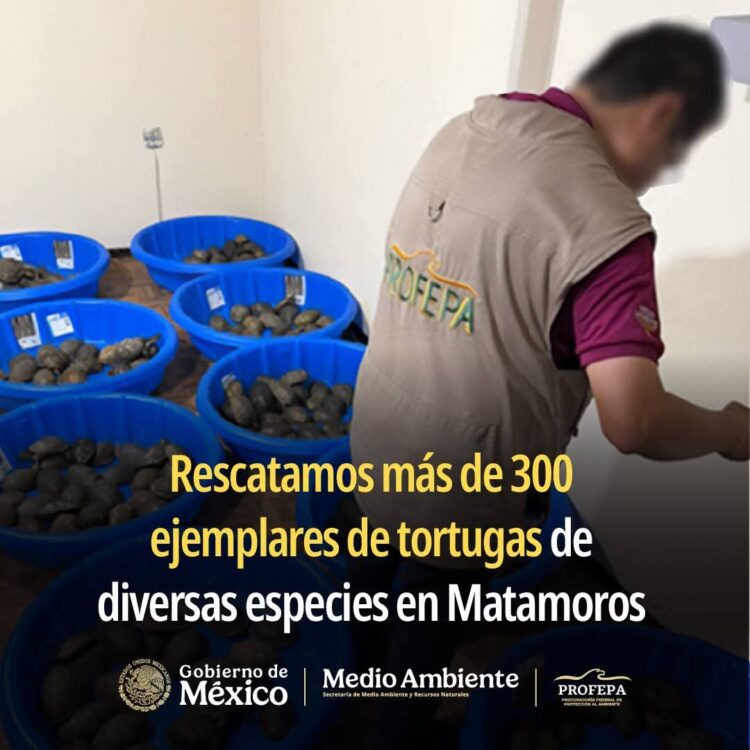 AVANZA PROTECCIÓN ANIMAL CON MÁS ADOPCIONES, VACUNAS Y ATENCIÓN A DENUNCIAS