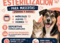 DELEGACIÓN DE LA PILA SE SUMA A JORNADA GRATUITA DE ESTERILIZACIÓN PARA PERROS Y GATOS