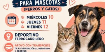DELEGACIÓN DE LA PILA SE SUMA A JORNADA GRATUITA DE ESTERILIZACIÓN PARA PERROS Y GATOS
