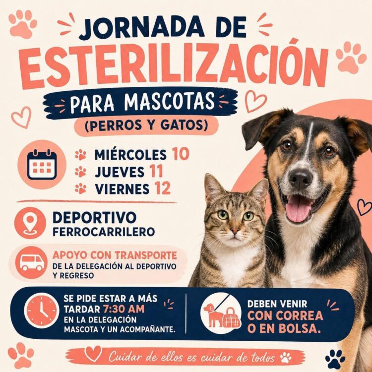 DELEGACIÓN DE LA PILA SE SUMA A JORNADA GRATUITA DE ESTERILIZACIÓN PARA PERROS Y GATOS