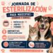 DELEGACIÓN DE LA PILA SE SUMA A JORNADA GRATUITA DE ESTERILIZACIÓN PARA PERROS Y GATOS