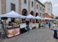 FERIA MUNICIPAL DEL ELOTE MUNDIALISTA SE SUMA AL FAN FEST “SAN LUIS CAPITAL, CORAZÓN DEL FUTBOL”