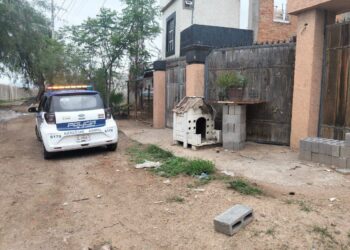 BIENESTAR ANIMAL MUNICIPAL PRESENTA DENUNCIA POR PRESUNTO MALTRATO ANIMAL EN FRACCIÓN MILPILLAS