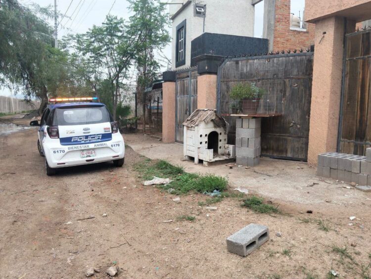 BIENESTAR ANIMAL MUNICIPAL PRESENTA DENUNCIA POR PRESUNTO MALTRATO ANIMAL EN FRACCIÓN MILPILLAS