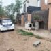 BIENESTAR ANIMAL MUNICIPAL PRESENTA DENUNCIA POR PRESUNTO MALTRATO ANIMAL EN FRACCIÓN MILPILLAS