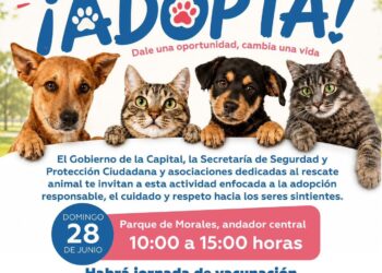 ÚLTIMOS CINCO DÍAS PARA APROVECHAR DESCUENTOS Y CONTRATOS SIN COSTO EN INTERAPAS.
