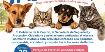 ÚLTIMOS CINCO DÍAS PARA APROVECHAR DESCUENTOS Y CONTRATOS SIN COSTO EN INTERAPAS.