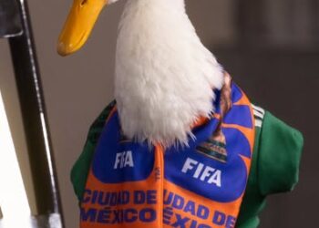 “MERLÍN”, EL PATO VIRAL DEL MUNDIAL, LLEGA A LA MAÑANERA DE CLAUDIA SHEINBAUM