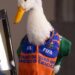 “MERLÍN”, EL PATO VIRAL DEL MUNDIAL, LLEGA A LA MAÑANERA DE CLAUDIA SHEINBAUM