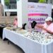 EL MERCADITO INCLUSIVO SIGUE ABRIENDO OPORTUNIDADES PARA EMPRENDEDORES POTOSINOS.