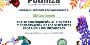 APRUEBA CONGRESO REFORMA PARA DEFINIR LOS SISTEMAS DE RETENCIÓN INFANTIL Y FORTALECER LA SEGURIDAD VIAL