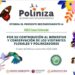 APRUEBA CONGRESO REFORMA PARA DEFINIR LOS SISTEMAS DE RETENCIÓN INFANTIL Y FORTALECER LA SEGURIDAD VIAL