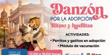 SE IMPULSARÁ ADOPCIÓN RESPONSABLE DE MASCOTAS DURANTE LOS VIERNES DE DANZÓN EN PLAZA DE ARMAS