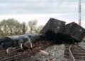 DESCARRILAMIENTO DE TREN PROVOCA DERRAME DE SUSTANCIA PELIGROSA EN SONORA.