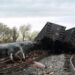 DESCARRILAMIENTO DE TREN PROVOCA DERRAME DE SUSTANCIA PELIGROSA EN SONORA.