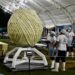 CHIAPAS HACE HISTORIA, GIGANTESCA BOLA DE QUESILLO CONQUISTA RÉCORD GUINNESS.