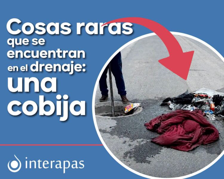 ¡HASTA COBIJAS Y JUGUETES! BASURA COLAPSA DRENAJES EN SAN LUIS; INTERAPAS RETIRA MÁS DE 7.4 KILÓMETROS DE DESECHOS