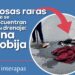 ¡HASTA COBIJAS Y JUGUETES! BASURA COLAPSA DRENAJES EN SAN LUIS; INTERAPAS RETIRA MÁS DE 7.4 KILÓMETROS DE DESECHOS