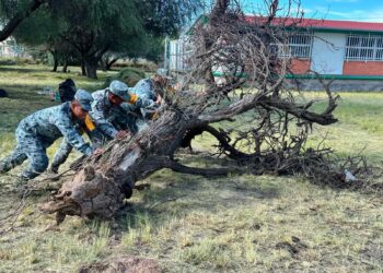 FISCALÍA REFUERZA PREVENCIÓN DE LA VIOLENCIA FAMILIAR EN SLP