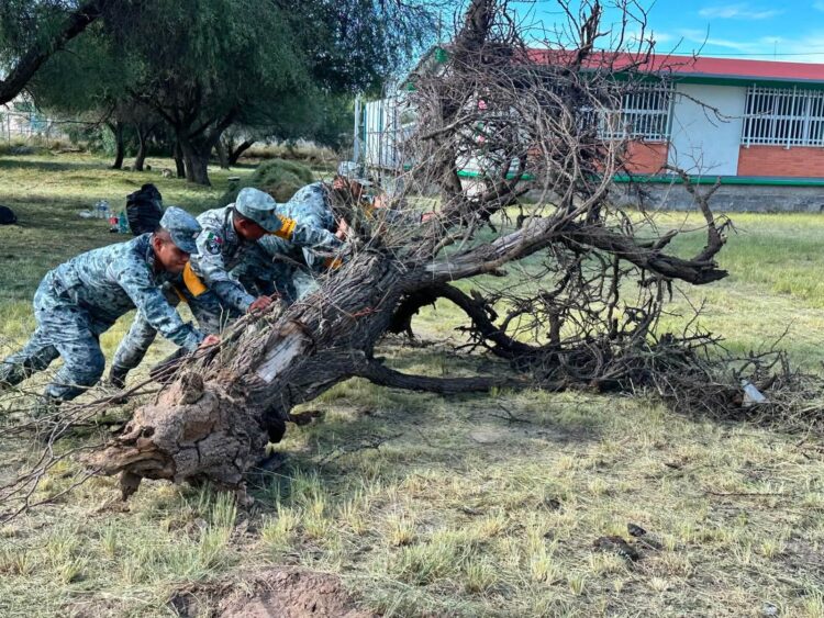 FISCALÍA REFUERZA PREVENCIÓN DE LA VIOLENCIA FAMILIAR EN SLP
