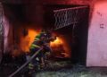 13 PERRITOS MUEREN EN INCENDIO TRAS FESTEJOS EN CDMX.