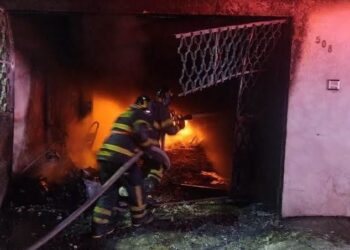 13 PERRITOS MUEREN EN INCENDIO TRAS FESTEJOS EN CDMX.