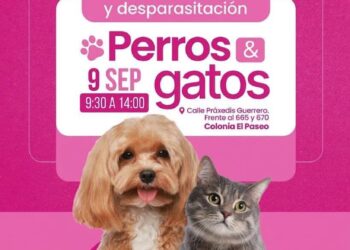 UN ÉXITO LA QUINTA EDICIÓN DEL FESTIVAL INCLUSIVO MUNICIPAL JUVENIL.