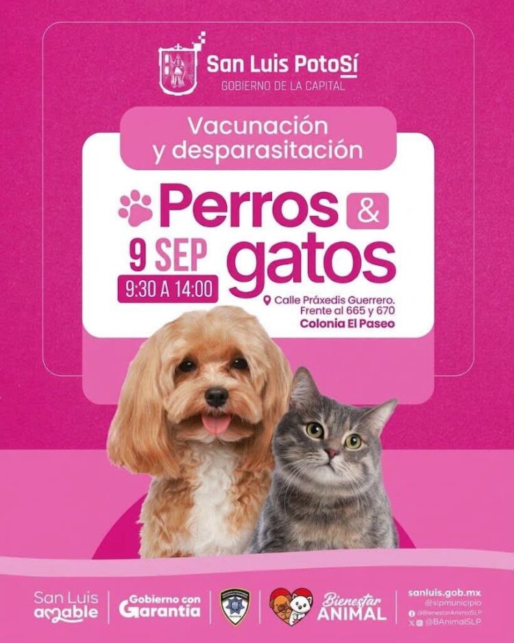 UN ÉXITO LA QUINTA EDICIÓN DEL FESTIVAL INCLUSIVO MUNICIPAL JUVENIL.