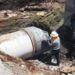 OFRECE GOBIERNO DE SAN LUIS CAPITAL SERVICIO DE CREMACIÓN PARA PERROS Y GATOS
