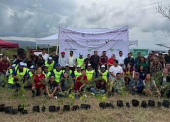 SIEMBRAN 2 MIL ÁRBOLES PARA RECUPERAR EL ENTORNO NATURAL DE LA LAGUNA DEL MANTE