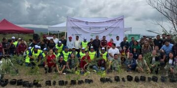 SIEMBRAN 2 MIL ÁRBOLES PARA RECUPERAR EL ENTORNO NATURAL DE LA LAGUNA DEL MANTE