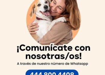 HABILITAN WHATSAPP PARA REPORTES, ADOPCIONES Y SERVICIOS DE BIENESTAR ANIMAL EN SLP