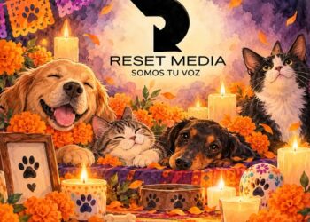 HOY TAMBIEN RECORDAMOS A QUIENES NOS AMARON SIN PALABRAS.