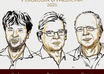 DIF MUNICIPAL INVITA A PACIENTES ONCOLÓGICAS A SOLICITAR PELUCAS GRATUITAS