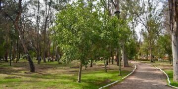 SALUD MENTAL DE LOS JÓVENES, UNA PRIORIDAD PARA EL GOBIERNO DE ENRIQUE GALINDO.