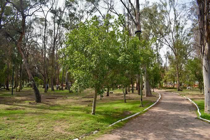 SALUD MENTAL DE LOS JÓVENES, UNA PRIORIDAD PARA EL GOBIERNO DE ENRIQUE GALINDO.